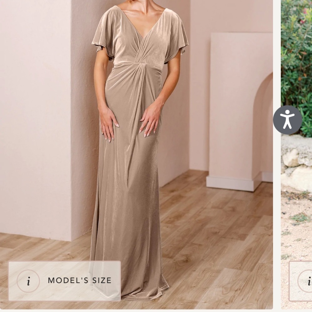 Revelry Gwen Champagne Velvet Dress